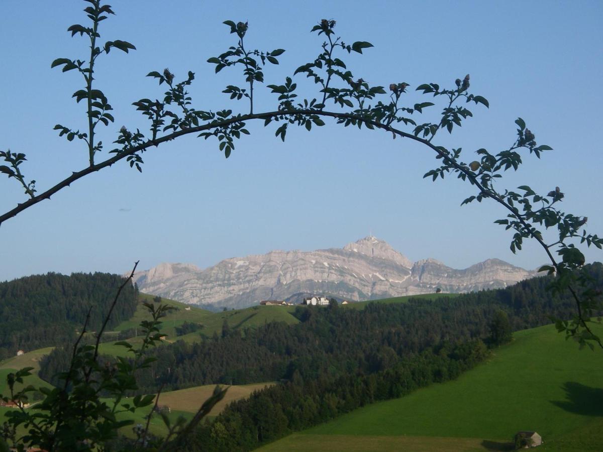 Schwellbrunn,Ferienwohnung Mit Saentissicht Exteriör bild