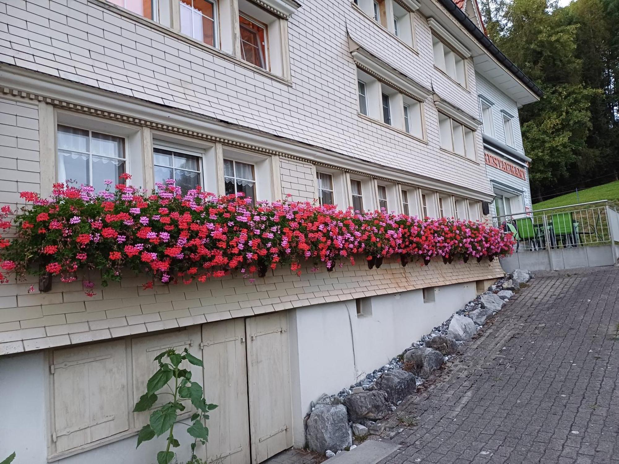 Schwellbrunn,Ferienwohnung Mit Saentissicht Exteriör bild