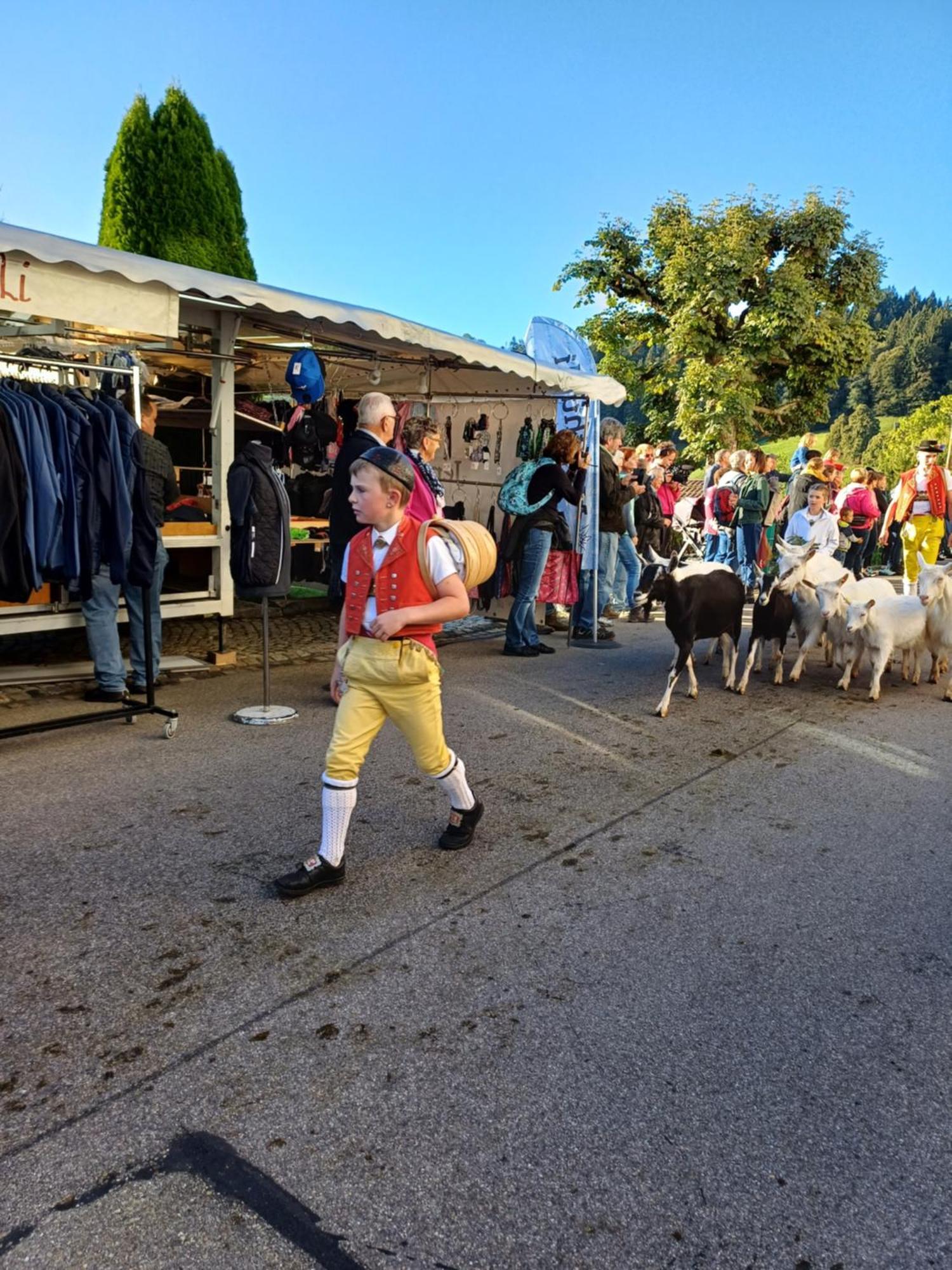 Schwellbrunn,Ferienwohnung Mit Saentissicht Exteriör bild